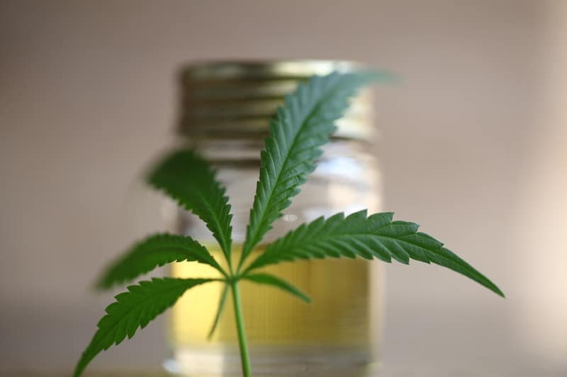 Canva cannabis cbd product oil 1